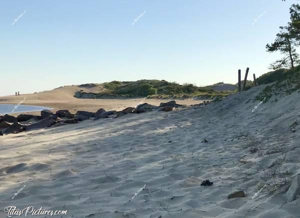 Photo Le Veillon : Le Veillon à Talmont-Saint-Hilaire.c, Le Veillon, Talmont-Saint-Hilaire, Dune