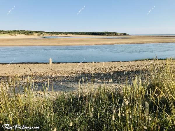 Photo Plage du Veillon : Plage du Veillon à marée descendante côté rivière..c, Plage du Veillon, Talmont-Saint-Hilaire, Dunes, sable, mer, rivière