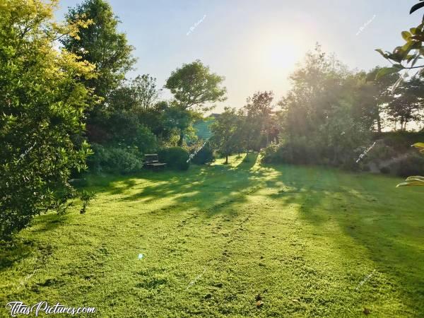 Photo Jardin Breton : J’ai pas pû m’empêcher de prendre en photo le jardin de mon père. Regardez-moi cette belle pelouse fraîchement tondue, bien verte et bien épaisse 😍c, Jardin, Bretagne, pelouse