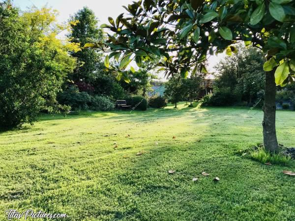 Photo Jardin Breton : J’ai pas pû m’empêcher de prendre en photo le jardin de mon père. Regardez-moi cette belle pelouse fraîchement tondue, bien verte et bien épaisse 😍c, Jardin, Bretagne, pelouse