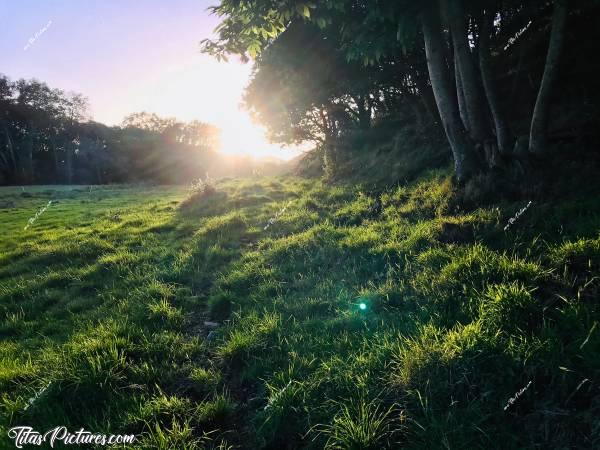 Photo Plougar : La Prairie de mon enfance au coucher du soleil. Un de mes endroits préférés pour aller me ressourcer 😊c, Plougar, campagne, prairie