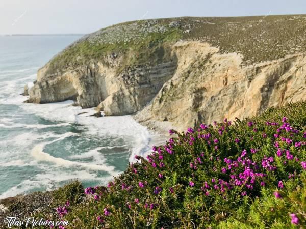 Photo Le Cap de la Chèvre : Le Cap de la Chèvre à Rostudel sur la presqu’île de Crozon. 
Mise au point sur cette belle bruyère en fleurs 😍c, Cap de la Chèvre, Rostudel, Crozon