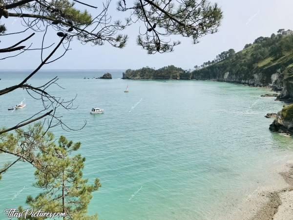 Photo Crozon : Jolie petite balade à la presqu’île de Crozon 😍c, Crozon, mer, pins, falaise