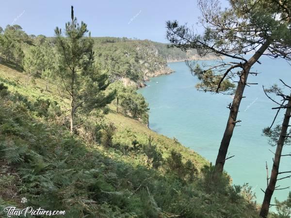 Photo Crozon : Jolie petite balade à la presqu’île de Crozon 😍c, Crozon, mer, pins, falaises