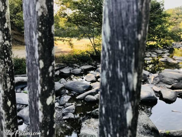 Photo La Sèvre Nantaise : Petite balade le long de la Sèvre Nantaise au parc de la Barbinière à St Laurent-sur-Sèvre.c, Sèvre Nantaise, St Laurent-sur-Sèvre