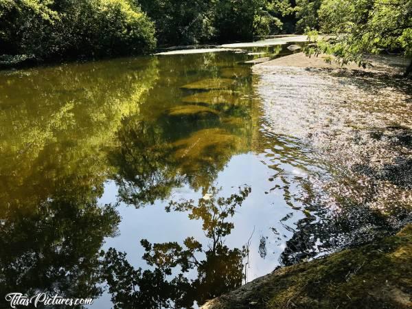 Photo La Sèvre Nantaise : Petite balade le long de la Sèvre Nantaise au parc de la Barbinière à St Laurent-sur-Sèvre.c, Sèvre Nantaise, St Laurent-sur-Sèvre