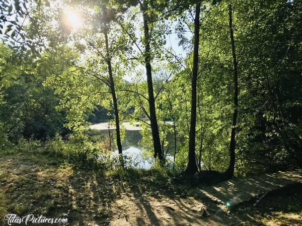 Photo La Sèvre Nantaise : Petite balade le long de la Sèvre Nantaise au parc de la Barbinière à St Laurent-sur-Sèvre.c, Sèvre Nantaise, St Laurent-sur-Sèvre