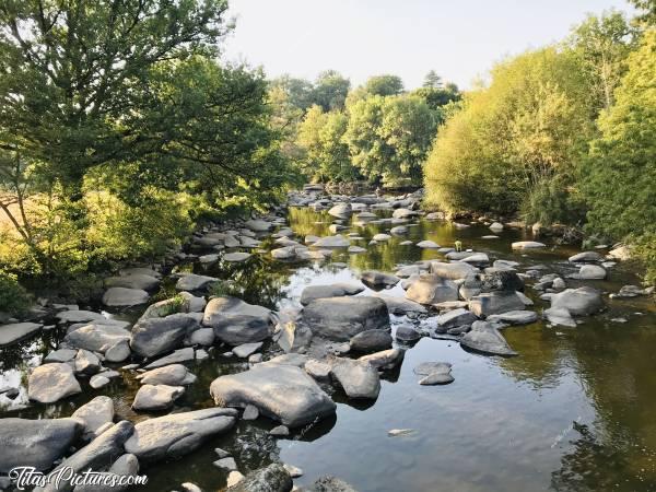 Photo La Sèvre Nantaise : La Sèvre Nantaise au parc de la Barbinière à St Laurent-sur-Sèvre. Je n’ai jamais vu le niveau de l’eau aussi bas 😧😥 On peut la traverser sans mettre un pied dans l’eau 😅😰
D’ailleurs, regardez un peu la taille de ces rochers 😅 Si vous cherchez bien, il y a 2 hommes cachés sur cette photo qui donnent un ordre de grandeur 😉c, Sèvre Nantaise, St Laurent-sur-Sèvre