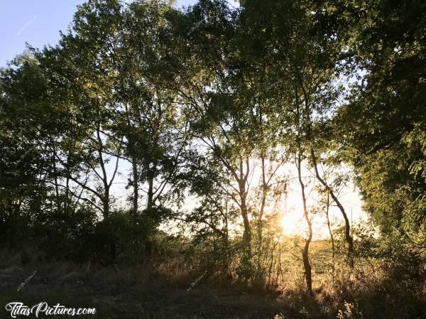 Photo Coucher de soleil : Coucher de soleil sur la Nature au Lac de Ribou à Cholet.c, Coucher de soleil, arbres, talus