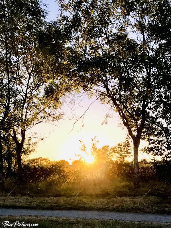 Photo Coucher du Soleil : Coucher du Soleil dans les buissons dans la région de Cholet 🥰😎c, Coucher du Soleil