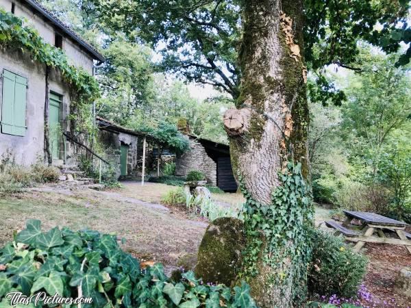Photo Maison dans les Bois : Petite maison dans les bois à St Laurent sur Sèvre. Un joli coin paisible 😍c, Maison dans les bois, St Laurent sur Sèvre