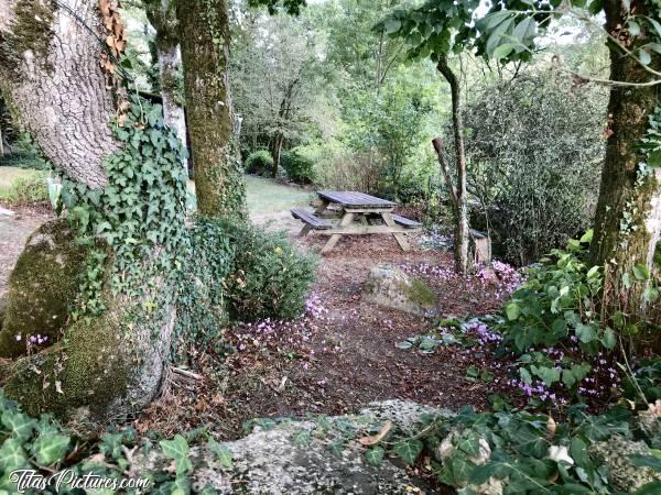 Photo Petit Jardin dans les bois : Petit Jardin dans les bois à St Laurent sur Sèvre.c, Maison dans les bois, Jardin, St Laurent sur Sèvre