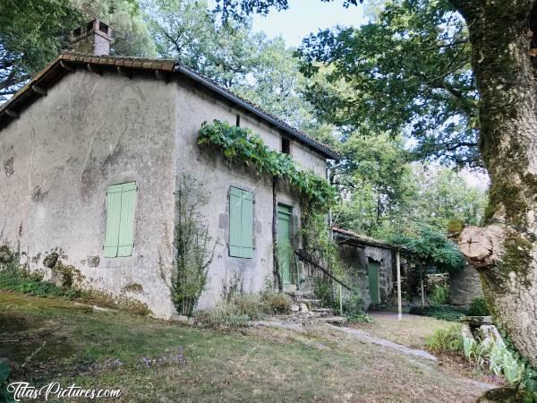 Photo Maison dans les Bois : Petite maison dans les bois à St Laurent sur Sèvre. D’après ce qu’on m’a dit, elle n’a ni eau courante ni électricité. Et les toilettes sont dans la cabane au fond du jardin comme à l’ancienne 😅c, Maison dans les bois, St Laurent sur Sèvre