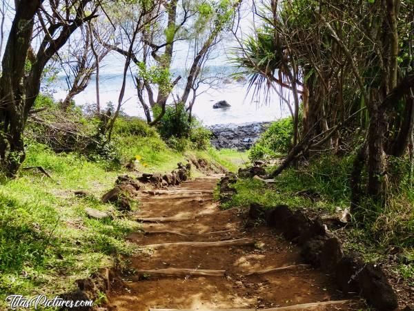 Photo Escalier Naturel : Bel escalier fait de rondins de bois. J’adore 🥰c, La Réunion, escalier, mer