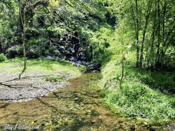 Photo L’Anse des Cascades : Très joli coin pour pique-niquer à l’ombre des arbres..c, Anse des Cascades, pique-nique