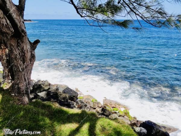 Photo La côte Sud : La côte Sud de l’Ile.. 😍😎c, La Réunion, cote sud, mer, rochers, Filao