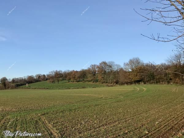 Photo La Flocellière : La campagne de la Flocellière en fin de journée...c, La Flocellière, campagne, champs