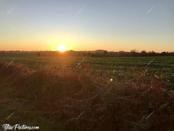 Photo Coucher de soleil : Coucher de soleil sur la campagne vendéenne..c, Coucher de soleil, Campagne, Vendée