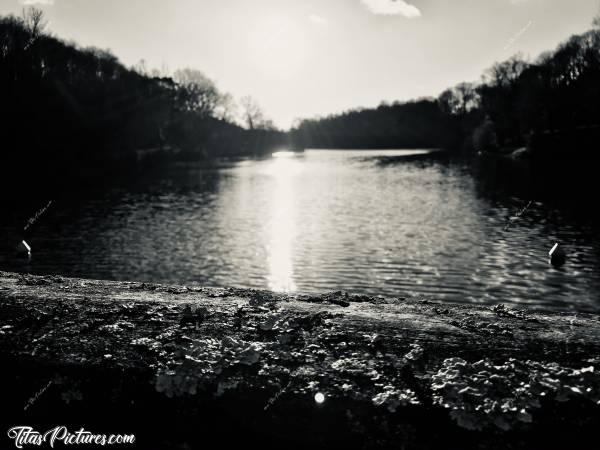 Photo Lac de Finfarine : Le Lac de Finfarine près de Talmont Saint Hilaire.c, Lac de Finfarine, Noir et Blanc