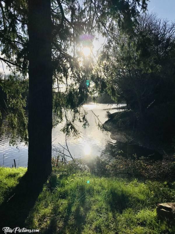 Photo Lac de Finfarine : Petite balade au Lac de Finfarine en fin de journée .. 😍😎c, Lac de Finfarine, Cèdre