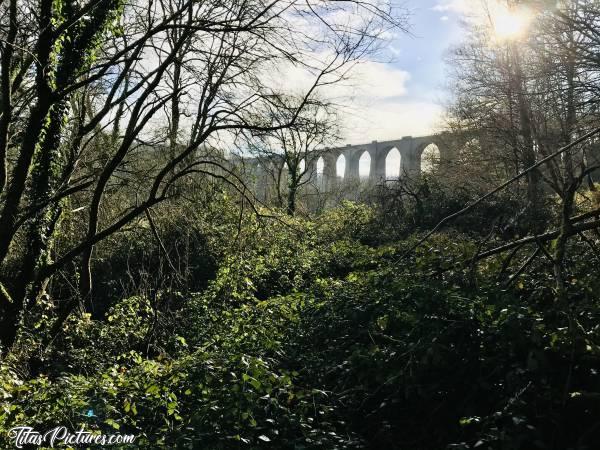 Photo Le Viaduc de Barbin : Le Viaduc de Barbin au parc de la Barbinière à Saint-Laurent-sur-Sèvre.c, Parc de la Barbinière, Saint-Laurent-sur-Sèvre