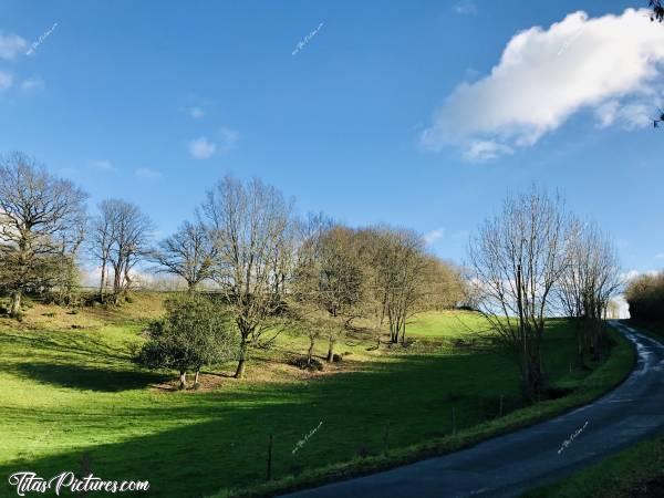 Photo Le Bocage vendéen : Le Bocage vendéen un jour d’hiver assez froid 🥶😅😍c, Bocage vendéen, arbre, champ