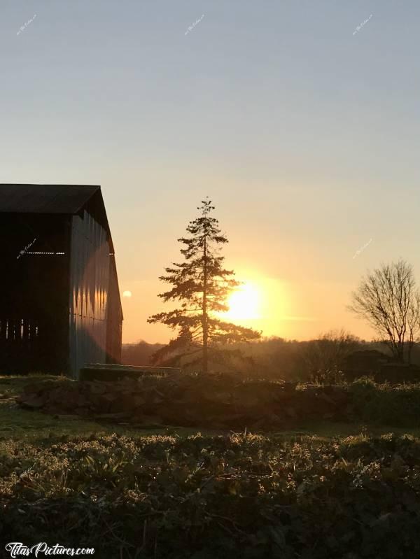 Photo Coucher de soleil : Joli coucher de soleil sur un beau sapin 🌲😍c, Coucher de soleil, sapin, hangar