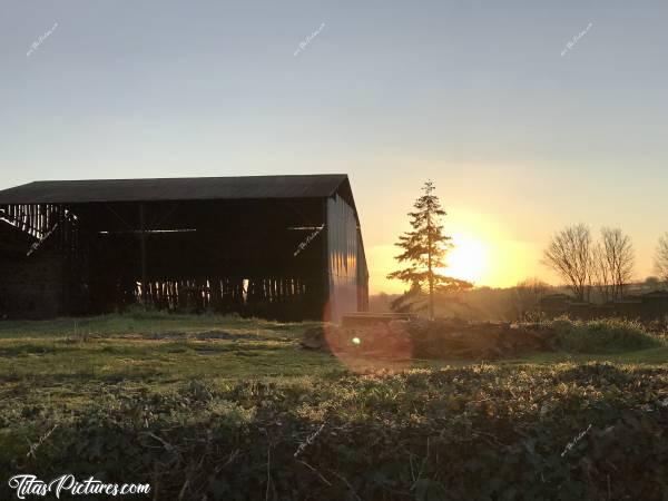 Photo Coucher de soleil : Coucher de soleil sur un vieil hangar dans la campagne vendéenne..c, Coucher de soleil, Hangar, Sapin