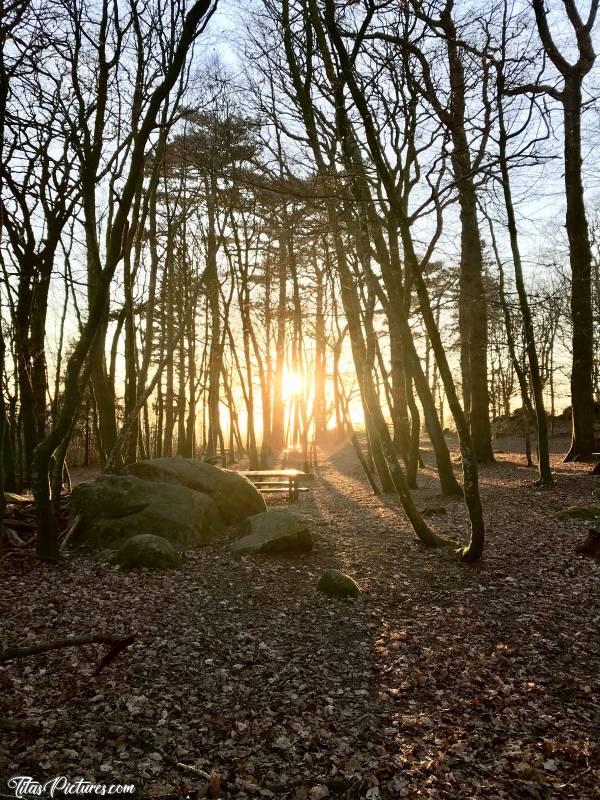 Photo Le Bois de la Folie : Joli Coucher de Soleil au Bois de la Folie à Pouzauges 😍
Qu’en pensez-vous?c, Bois de la Folie, Pouzauges, Arbres, Coucher de soleil