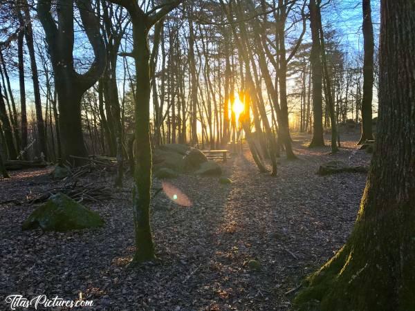 Photo Le Bois de la Folie : Joli Coucher de Soleil au Bois de la Folie à Pouzauges 😍
Qu’en pensez-vous?c, Bois de la Folie, Pouzauges, Arbres, Coucher de soleil