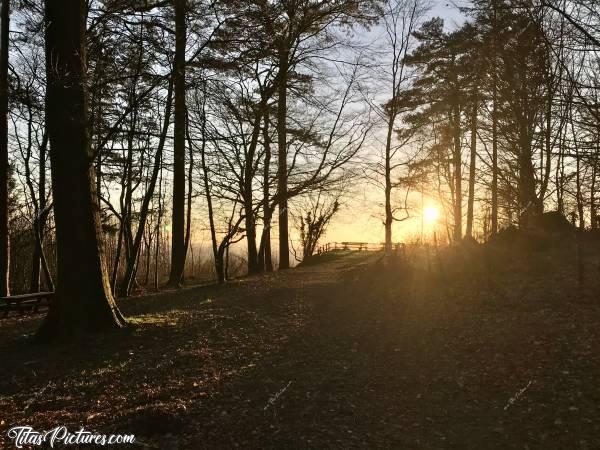 Photo Le Bois de la Folie : Joli Coucher de Soleil au Bois de la Folie à Pouzauges 😍
Qu’en pensez-vous?c, Bois de la Folie, Pouzauges, Arbres, Coucher de soleil