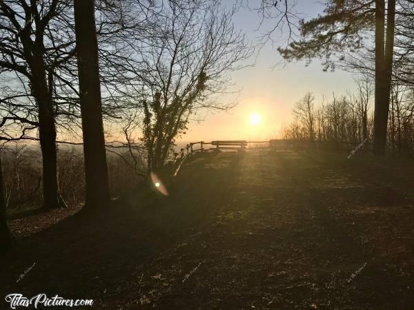 Photo Le Bois de la Folie : Joli Coucher de Soleil au Bois de la Folie à Pouzauges 😍
Qu’en pensez-vous?c, Bois de la Folie, Pouzauges, Arbres, Coucher de soleil