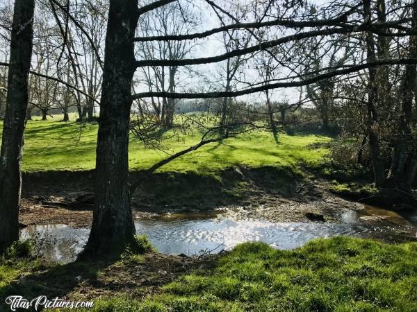 Photo Prairie Vendéenne : Belle Prairie Vendéenne dans la Campagne de Sigournais😍🥰
Et au milieu coule une rivière.. 😉😋c, Vendée, Prairie, campagne, rivière