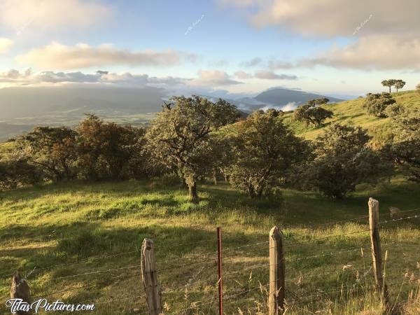 Photo Le Sud Est de la Réunion : Le Sud de la Réunion dans les Hauteurs. On aperçoit le Sommet du Piton des Neiges qui apparaît au milieu des nuages..c, La Réunion, Montagnes, Arbres, Prairies, Barbelés