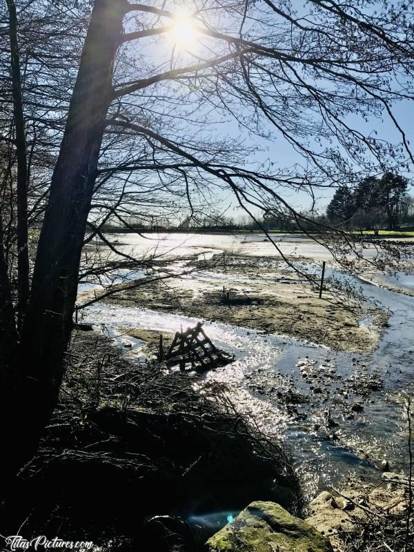 Photo Le Lac de l’Espérance : Le Lac de l’Espérance à Pouzauges. 
J’adore l’effet que produisent les rayons du soleil sur l’eau.. 😍🥰
On se croirait au bord d’une rivière alors que c’est un lac vidé pour travaux de renforcement 😅c, Lac de l’Espérance, POUZAUGES