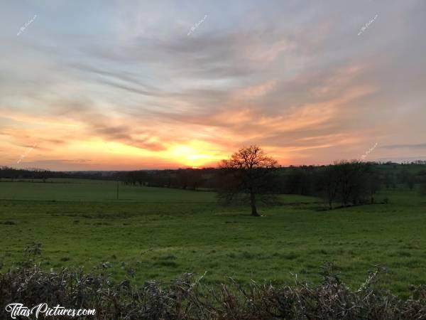 Photo Coucher de soleil : Coucher de soleil sur la campagne vendéenne 😍😎c, Coucher de Soleil, campagne, prairie, chêne