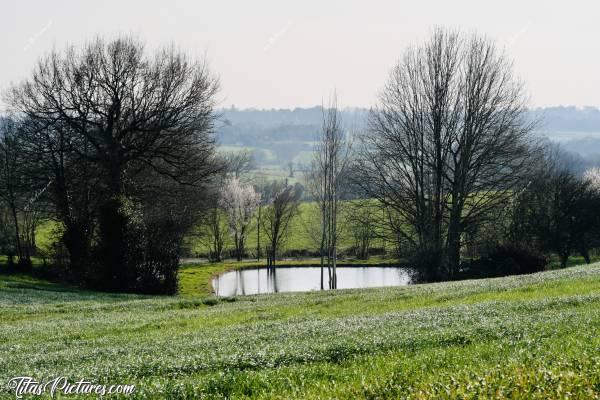 Photo Réserve d’eau : Petite réserve d’eau dans la Campagne vendéenne.. Ma photo est un peu en retard 😬 Car les feuilles ont commencé à sortir depuis 😅c, Réserve d’eau, étang, campagne