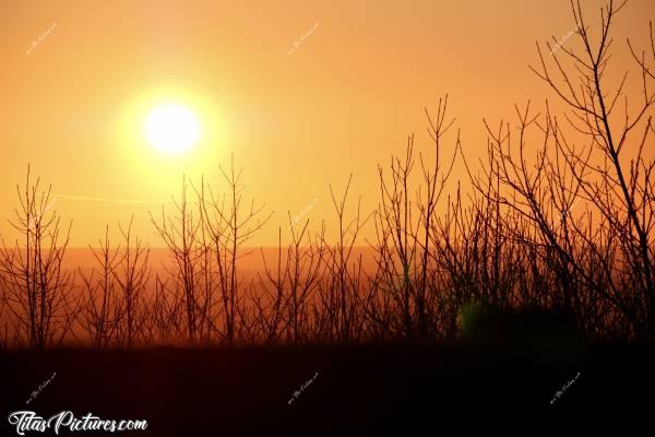 Photo Le Bois de la Folie : Beau Coucher de Soleil au Bois de la Folie à Pouzauges 😍😎c, Bois de la Folie, Pouzauges, Coucher de Soleil