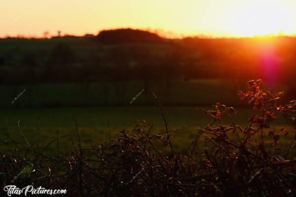 Photo Coucher de Soleil : Coucher de soleil sur un talus de ronces .. 😍😎c, Coucher de soleil, Campagne, Vendée, champ, ronces, talus