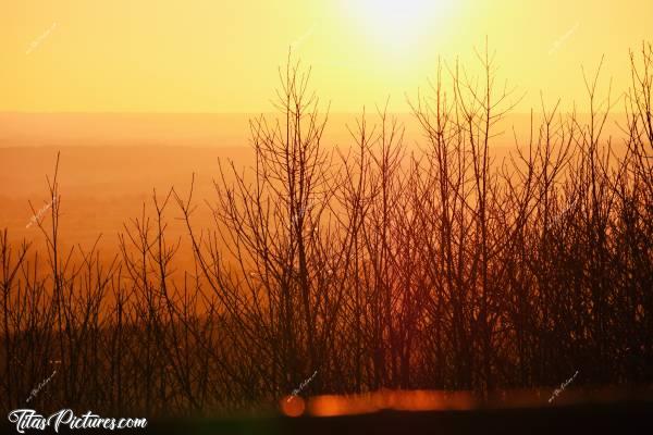 Photo Le Bois de la Folie : Coucher de soleil au point de vue panoramique du Bois de la Folie à Pouzauges 😍😎c, Bois de la folie, POUZAUGES, coucher de soleil