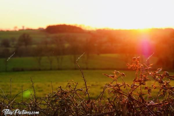 Photo Coucher de soleil : Coucher de soleil sur la Campagne vendéenne.. Je ne m’en lasserai jamais 🥰c, Coucher de soleil, Campagne, champ