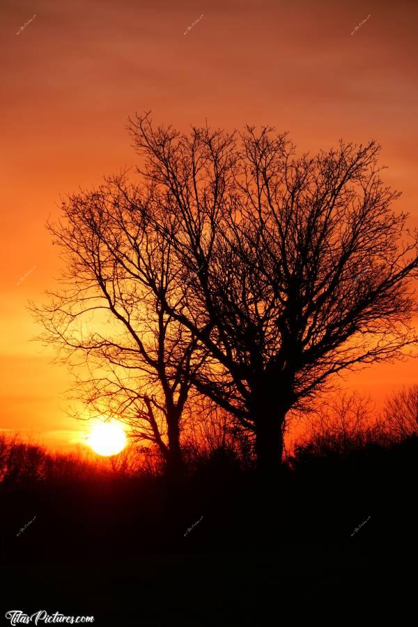 Photo Coucher de soleil : Beau Coucher de Soleil sur la campagne du Boupère 😍😎 On dirait l’Afrique .. 😅😍c, Coucher de soleil, Campagne vendéenne, Le Boupère