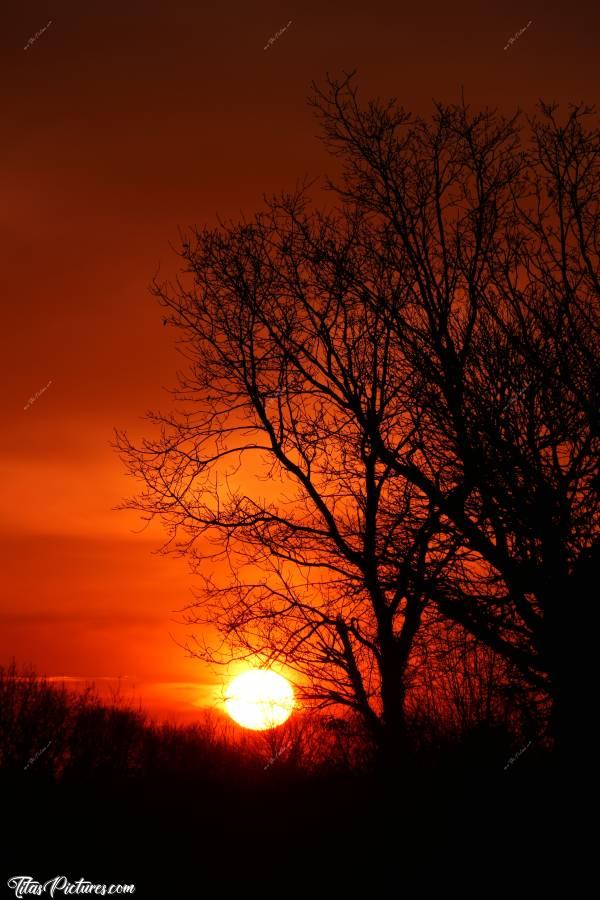 Photo Coucher de soleil : Beau Coucher de soleil sur la campagne vendéenne. Il fait trop penser à l’Afrique je trouve.. 😅😍😎c, Coucher de soleil, Campagne, arbres