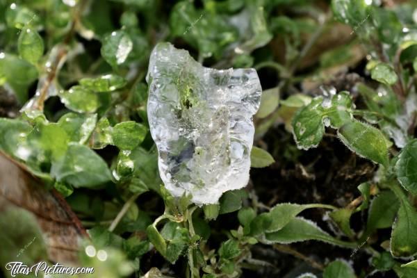 Photo Glaçon naturel 🧊 : Glaçon naturel 🧊  tombé des branches 🥶😍 Photo prise lors du grand froid des 11 et 12 février 2021.c, Glaçon, Pluies Verglaçantes