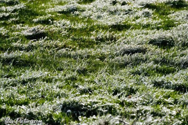 Photo Gelée blanche 🥶 : Gelée blanche sur la campagne vendéenne… 🥶 Mais qu’est-ce que c’est beau avec les rayons du soleil levant.. 😍🥰c, Gelée blanche, herbe, champ