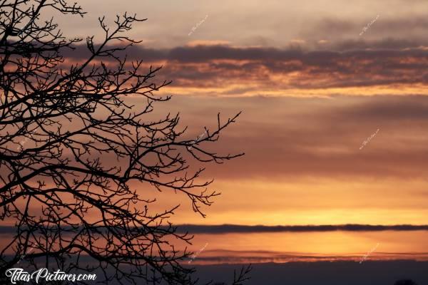 Photo Coucher de soleil : Coucher de soleil magnifique sur la campagne vendéenne encore givrée ce soir du 13/02/21 🥶😍c, Coucher de soleil, Campagne, Vendée, arbres, givre