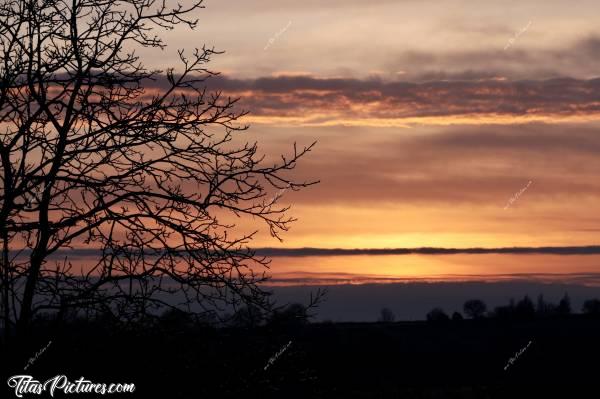 Photo Coucher de soleil : Coucher de soleil magnifique sur la campagne vendéenne encore givrée ce soir du 13/02/21 🥶😍c, Coucher de soleil, Campagne, Vendée, arbres, givre