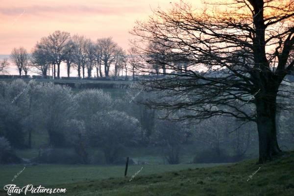 Photo Coucher de soleil : Coucher de soleil sur la Campagne du Boupère. Magnifiques couleurs ce soir-là 😍 Les branches étaient encore bien givrées suite aux pluies verglaçantes qu’il y a eu en Février 🥶c, Coucher de soleil, Campagne, Vendée, pluie verglaçante, arbres