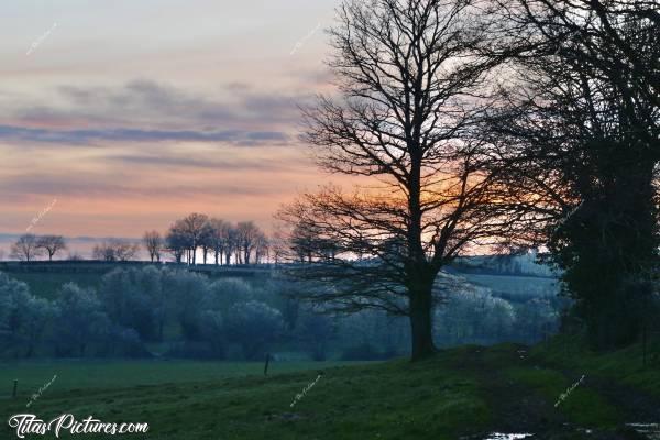 Photo Coucher de soleil : Coucher de soleil sur la Campagne du Boupère. Magnifiques couleurs ce soir-là 😍 Les branches étaient encore bien givrées suite aux pluies verglaçantes qu’il y a eu en Février 🥶c, Coucher de soleil, Campagne, Vendée, pluie verglaçante , arbres