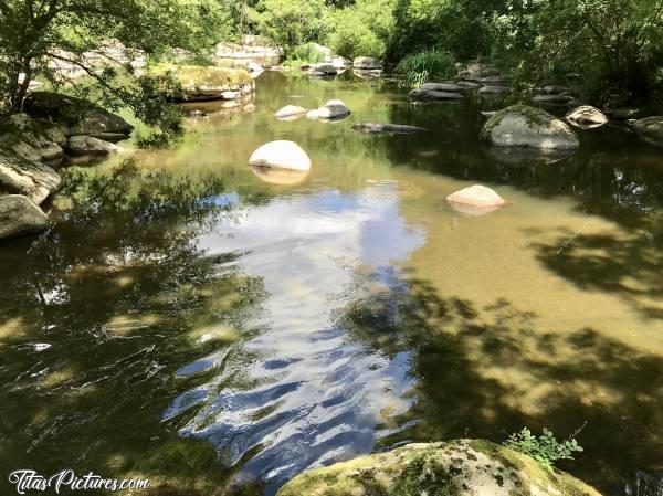 Photo La Sèvre Nantaise : Belle balade le long de la Sèvre Nantaise au parc de la Barbinière. 
Le niveau de l’eau est vraiment très bas pour un moi de juin 😰 
À ce passage, il y a à peine 20 cm d’eau alors qu’en temps normal, il devrait y avoir vers les 70 cm..😣😥c, Parc de la Barbinière, St-Laurent-sur-Sèvres, Sèvre Nantaise